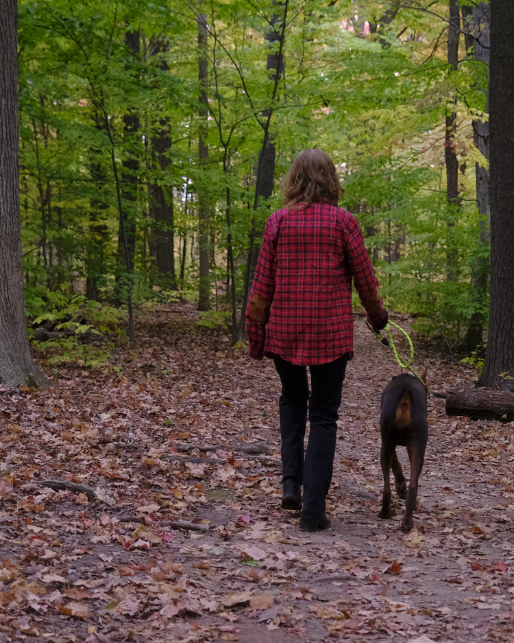 Person walking a dog on a path through a forest