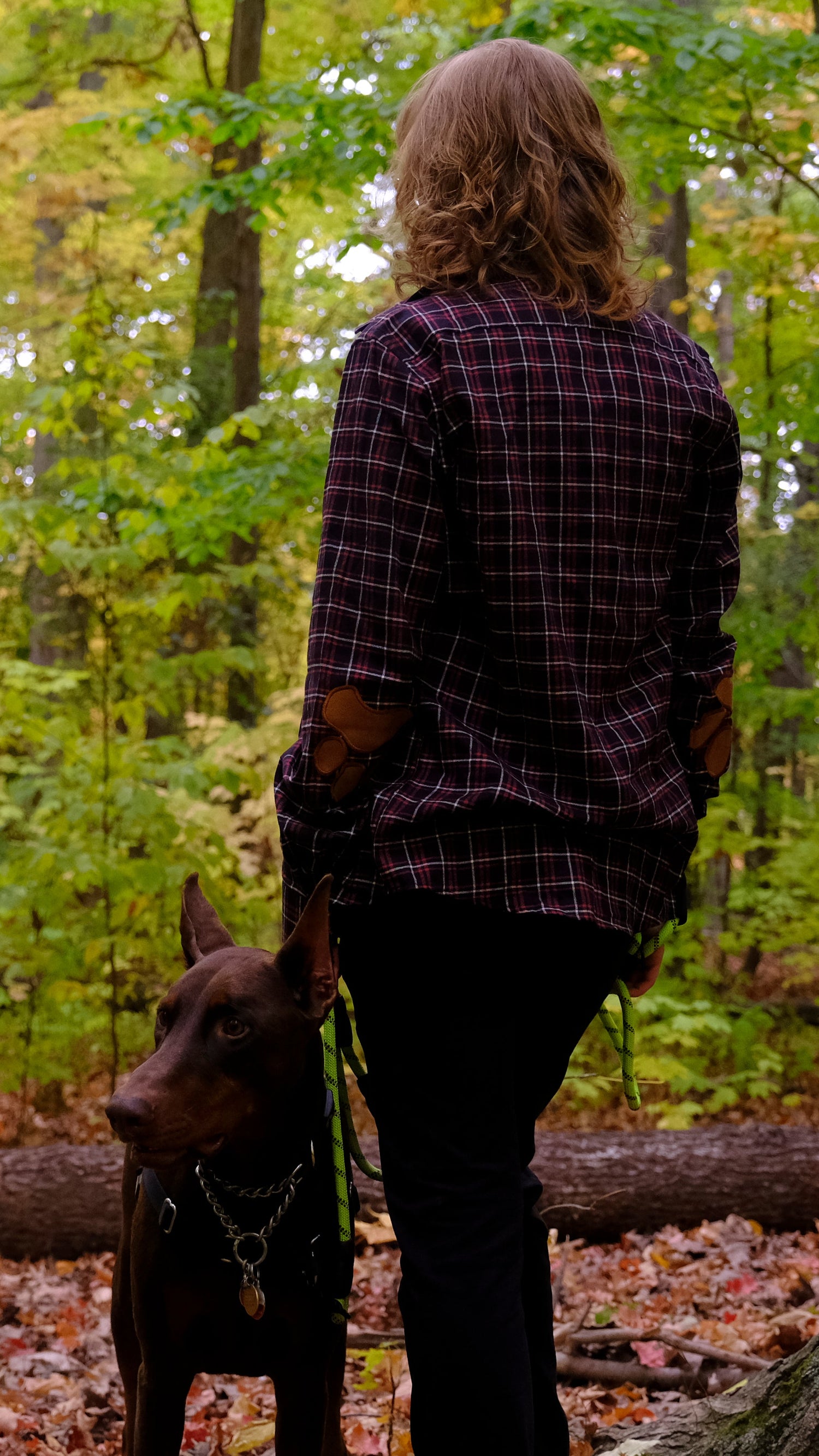 Person walking a dog in a forest